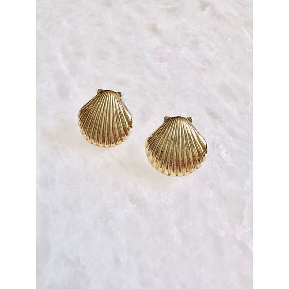Gold clam seashell stud earrings - Picture 1 of 2